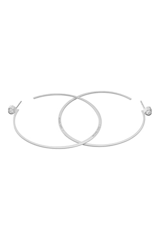 Creolen Zilverkleurig