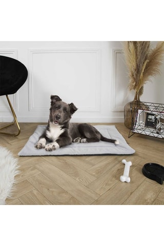 Tapis pour animaux - 85 x 63 cm