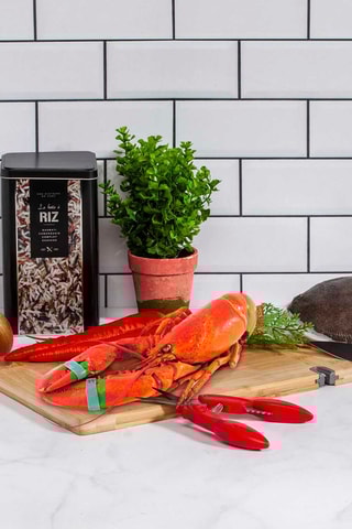 Pinces/ciseaux à crustacés en acier inoxydable