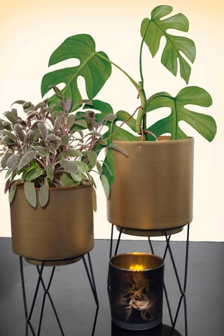 Vaso - Dourado - 12,9 x 12,9 x 22,3 cm