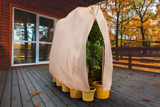2 housses de protection pour plantes - 240 x 200 cm