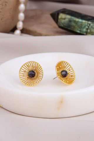 Puces - Labradorites