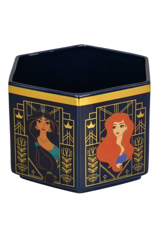 Pot de plantes en grès Princesses Disney - Grès