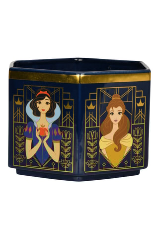 Pot de plantes en grès Princesses Disney - Grès