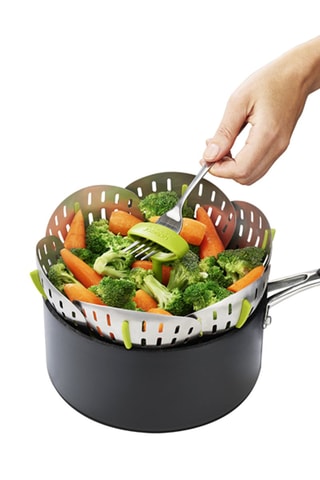 Inklapbare Roestvrijstalen Stoommand Bloom Steel 