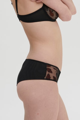 Shorty Dahlia - Noir