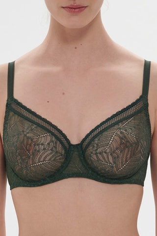 Soutien-gorge Comete - Vert foncé
