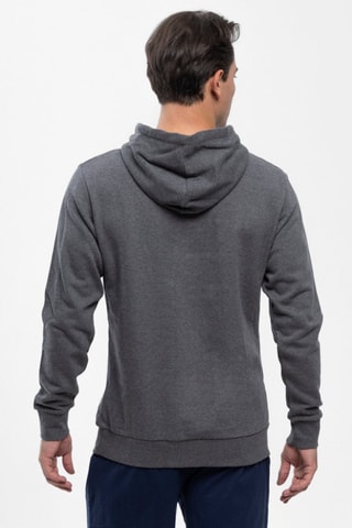 Sweater met Capuchon Grijs