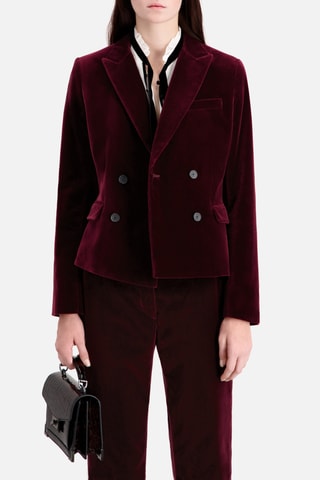 Veste de costume en velours - Bordeaux