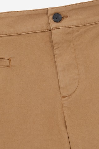 Chino - Camel