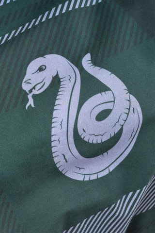 Housse de couette en coton 175 fils/cm² Serpentard Harry Potter - Vert et gris