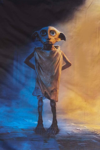 Dekbedovertrek Dobby Harry Potter Antraciet en Blauw