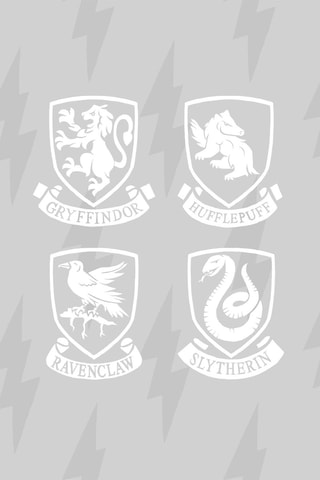 Dekbedovertrek Harry Potter - Grijs