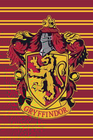 Dekbedovertrek Griffoendor Harry Potter - Rood en Geel