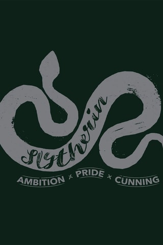 Dekbedovertrek Zwadderich Hedwig Harry Potter - Donkergroen en Wit