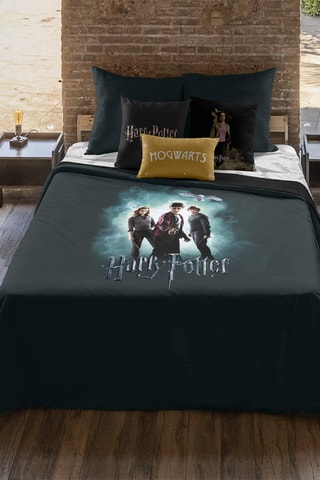 Dekbedovertrek Harry en Voldemort Harry Potter - Donkergrijs en Zwart