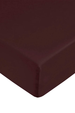 Drap-housse en coton 69 fils/cm² - Bordeaux