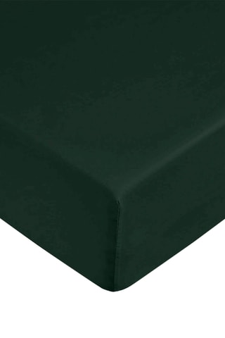 Drap-housse en coton 69 fils/cm² - Vert