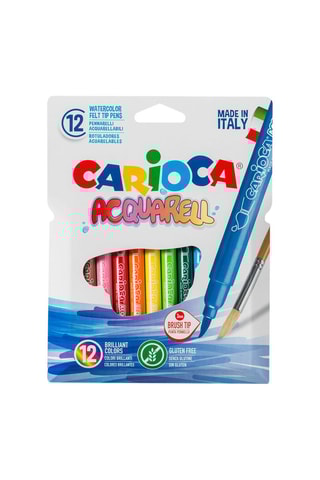 12 canetas de feltro pincel