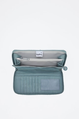 Compagnon Money World - Gris