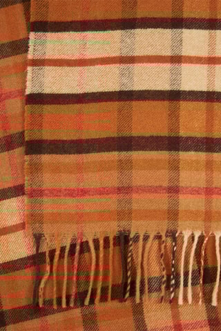 Wollen Sjaal Pisa Camel en Bruin