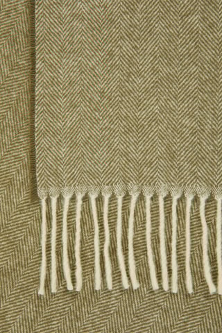 Kasjmier Sjaal Lupo - Olijfgroen