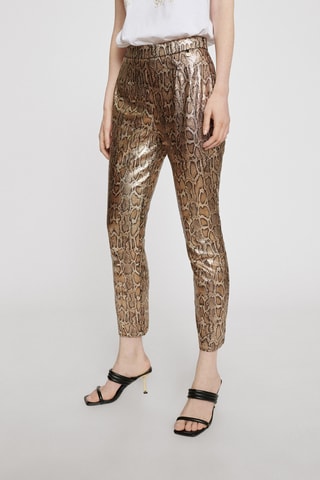Pantalon - Doré et marron