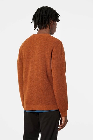 Camisola em lã de merino Sadak - Castanho