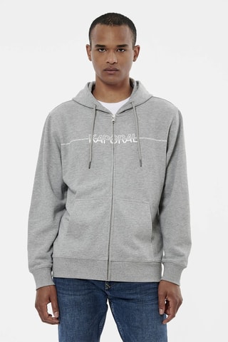 Sweat com capuz Rolan - Cinzento