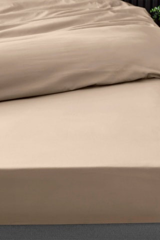 Drap-housse en percale de coton 78 fils/cm² Percaline - Sable