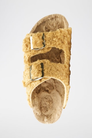 Muiltjes Alberto - Bruin