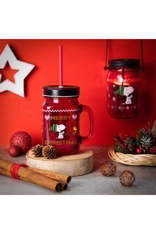 Mason Jar Peanuts 50 cl