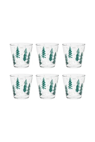 6 copos Green Winter - 25 cl