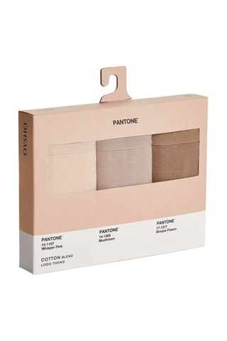 3 Tanga’s - Nude en Bruin