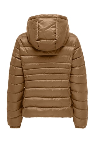 Doudoune à capuche - Marron