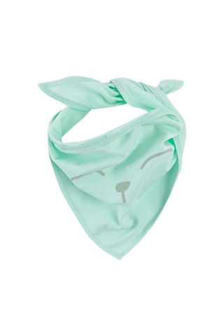 2 foulards - Mauve et vert clair