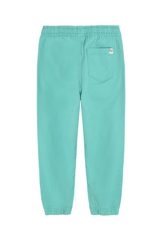Jogger Turquoise