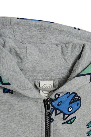 Sweat à capuche - Gris clair chiné