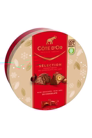 2 x Côte d'Or Sélection - 187 g