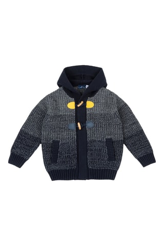 Vest met Capuchon - Grijs