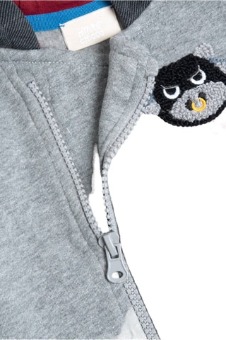 Sweater met Capuchon - Grijs