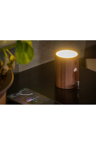 Candeeiro e coluna sem fios Nogueira