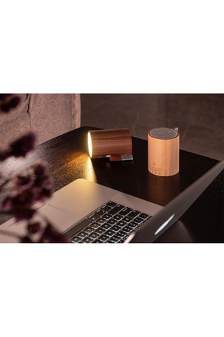 Candeeiro e coluna sem fios Nogueira