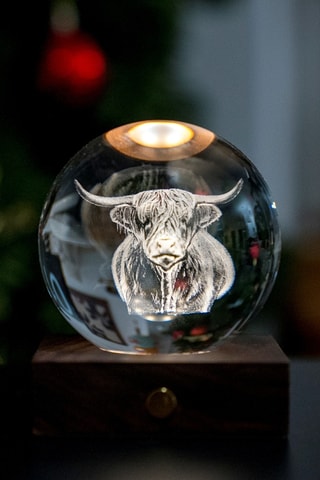 Bola luminosa Amber Crystal Highland Cow - Preto