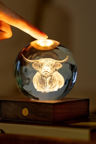 Bola luminosa Amber Crystal Highland Cow - Preto