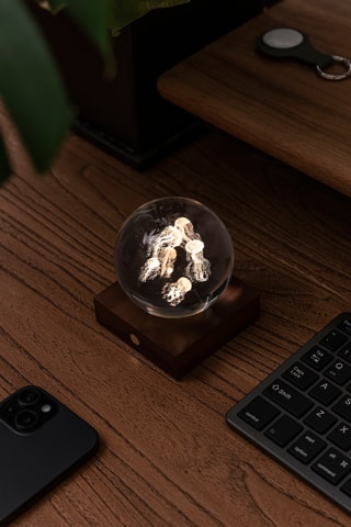 Bola luminosa Amber Crystal Jellyfish - Transparente