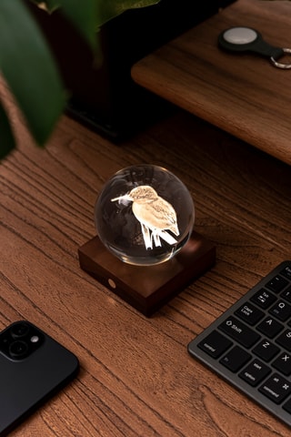 Bola luminosa Amber Crystal Kingfisher - Transparente