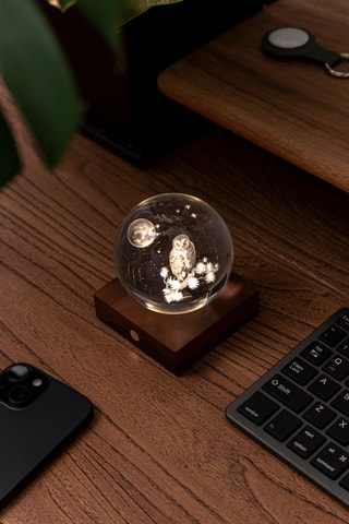 Bola luminosa Amber Crystal Owl & Moon - Transparente