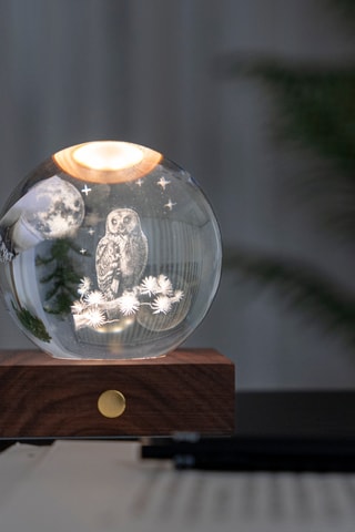 Bola luminosa Amber Crystal Owl & Moon - Transparente
