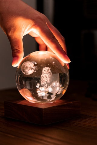 Bola luminosa Amber Crystal Owl & Moon - Transparente